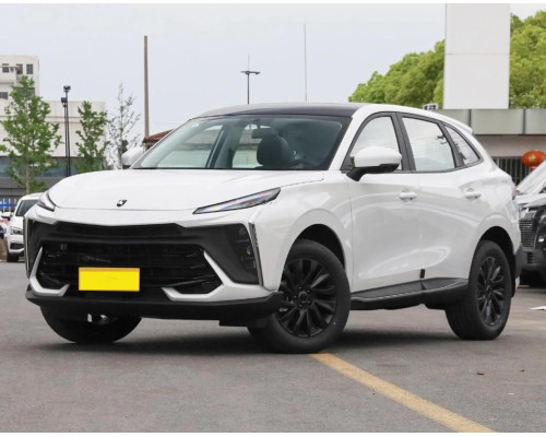 Dongfeeng T5 Evo