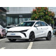 Geely Geometry G6 Exalted