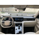Гибрид Roewe D5X