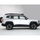 Changan Deepal G318