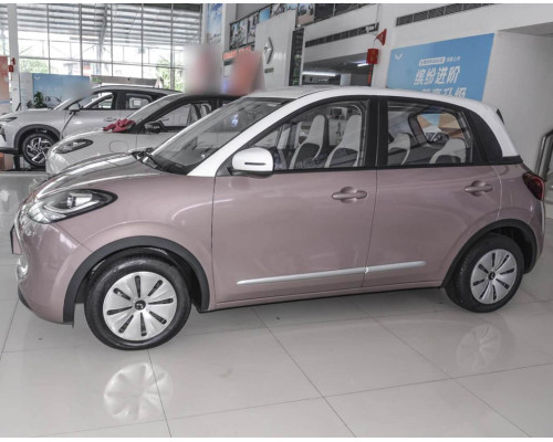 Wuling Binguo