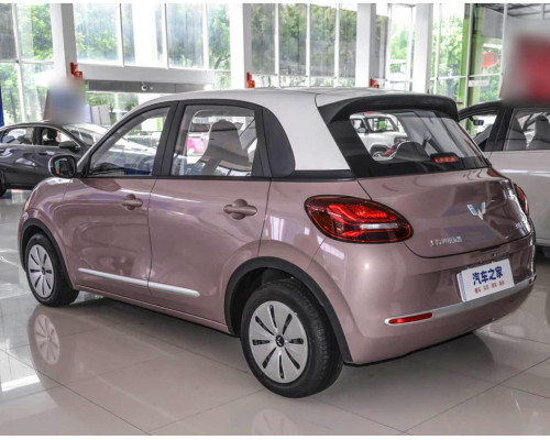 Wuling Binguo
